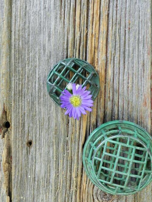 CARNIVAL  5 STEM BUNCH PURPLE ASTER